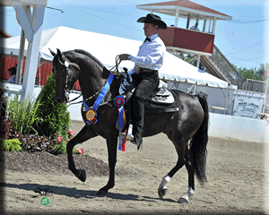 Sarde's Beyond Definition