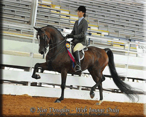 Treble's High End Piece